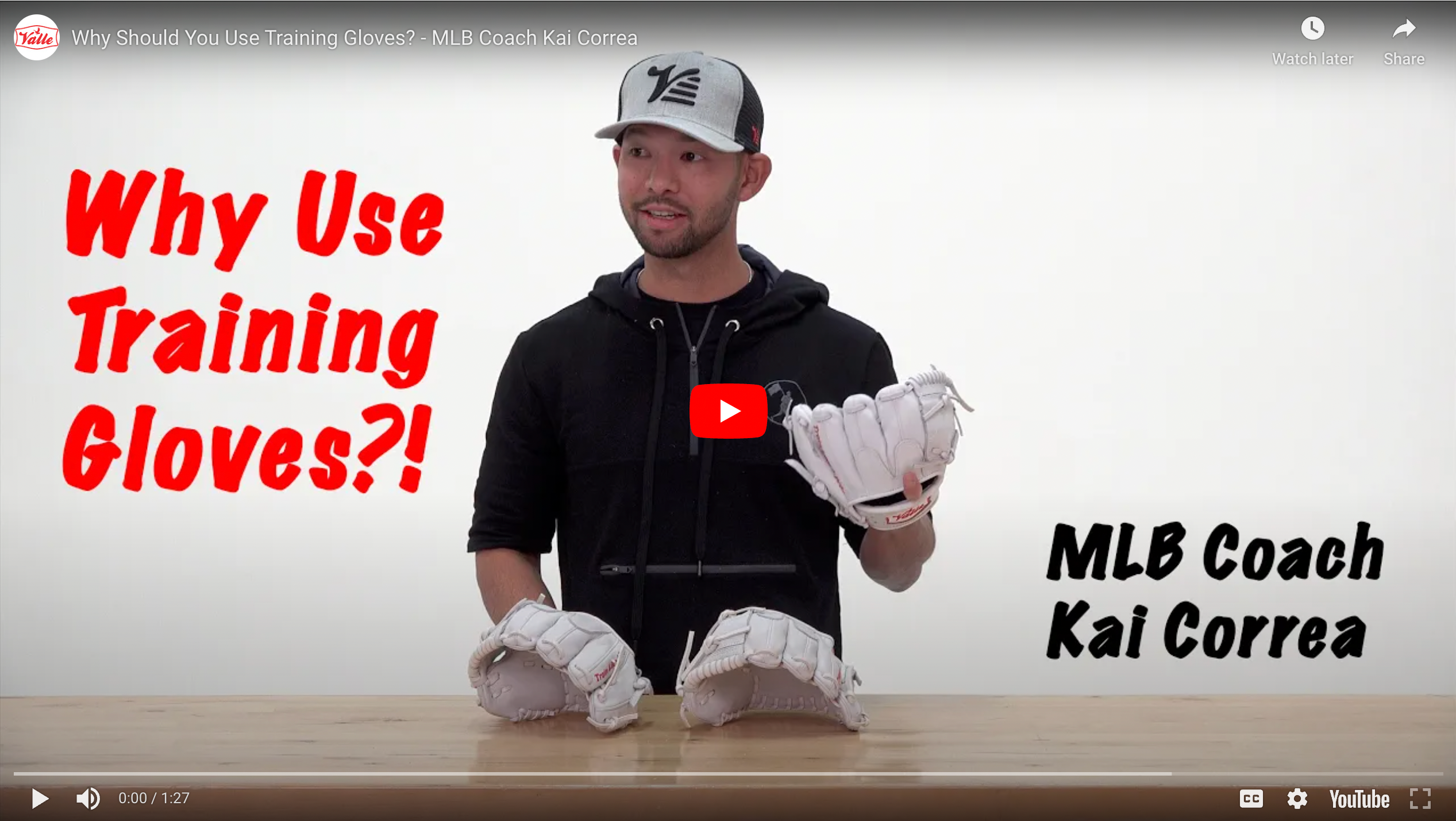 Valle Players Bag – Valle Training Gloves